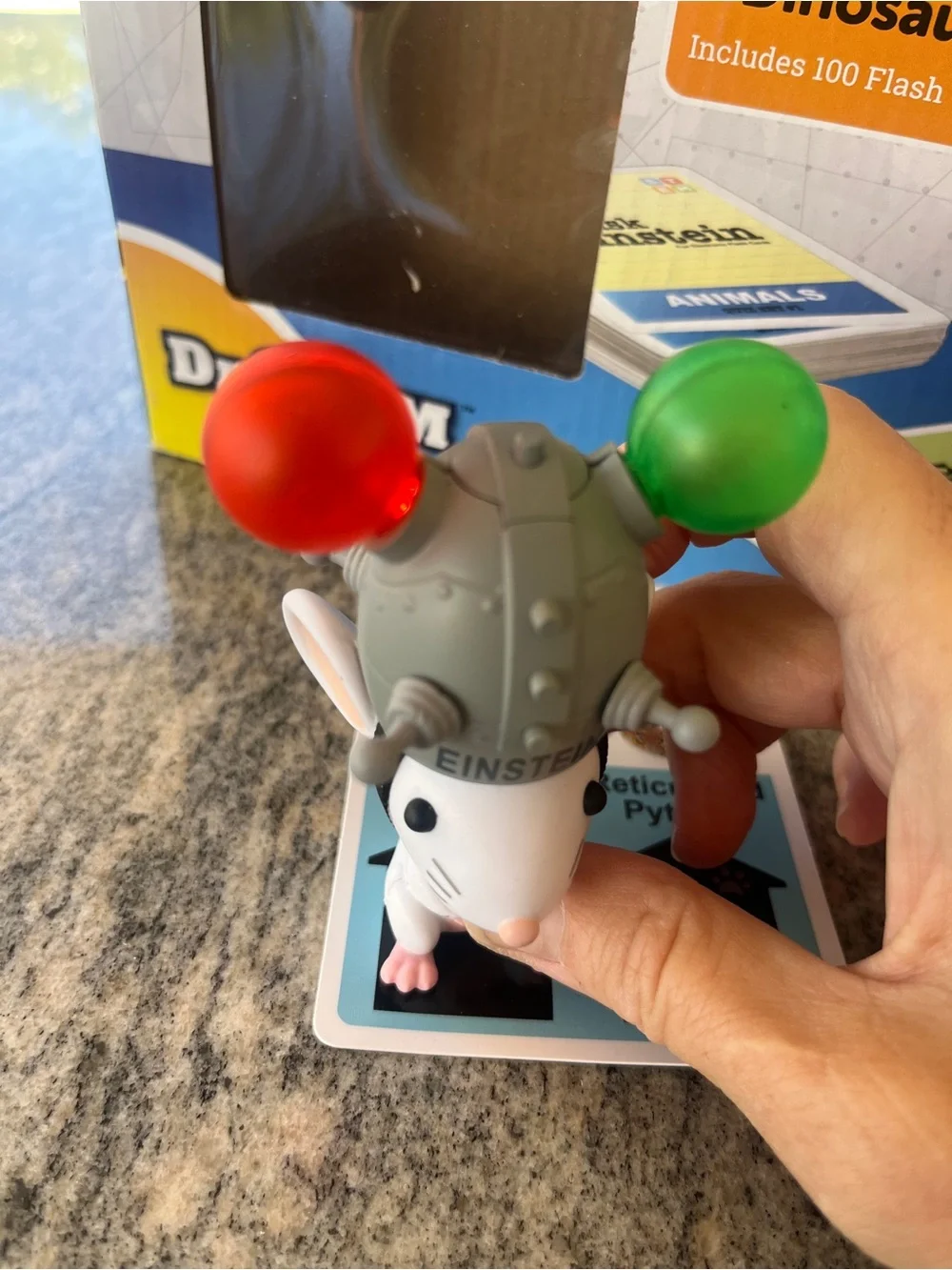 Ask Einstein mouse game